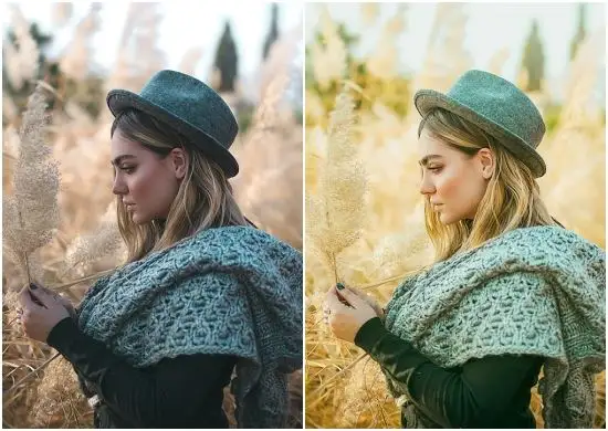 Download Free Dennis Tejero Brooklyn Lightroom Presets