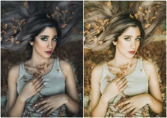 Free Lightroom Preset Venice