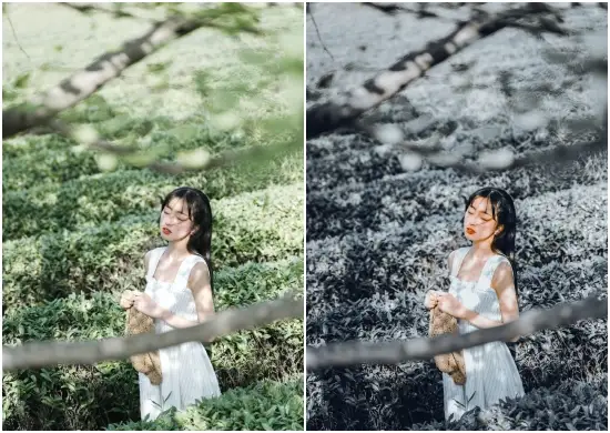 Ditte Desktop And Mobile Lightroom Preset