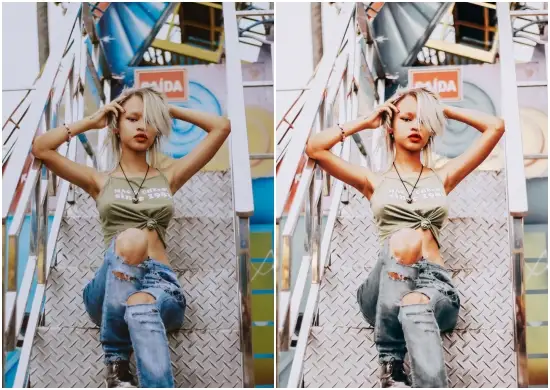 Ditte Silver Tone Lightroom Preset