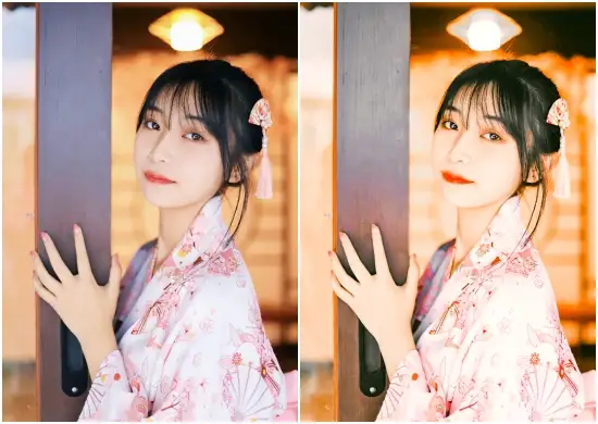 Ditte Japan Tone Lightroom Preset