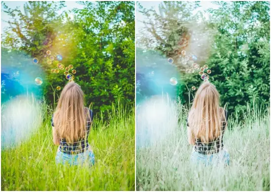 Evergreen Lightroom Presets Free