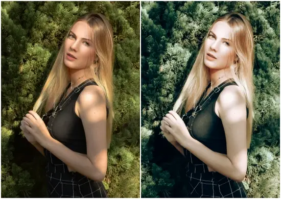 Evergreen Lightroom Mobile Presets