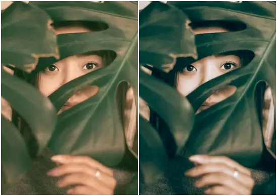 Evergreen Lightroom Preset will add gorgeous