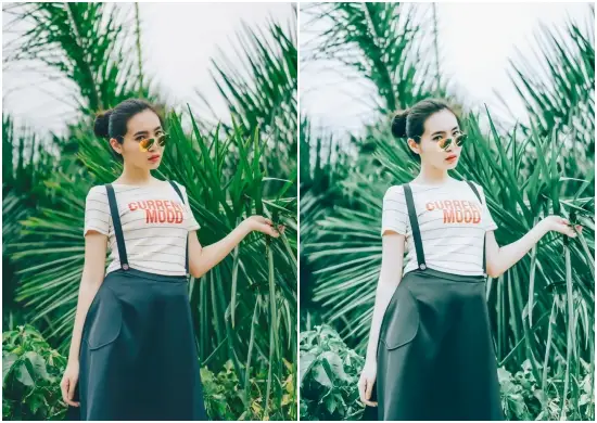 Lightroom Evergreen Presets Professional