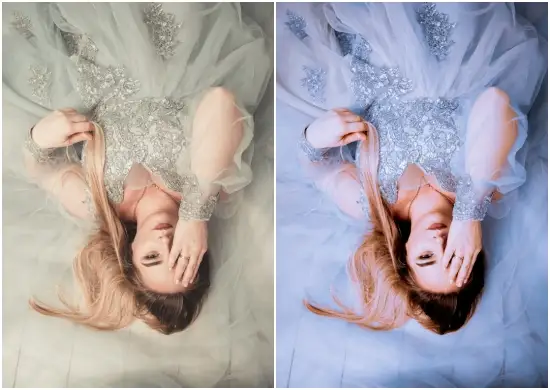 Pro Portrait Lightroom Presets