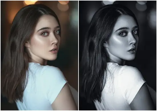 Fantasy Black And White Tone Dng Preset