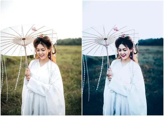 Download Free Fantasy Dark Professional Lightroom Presets