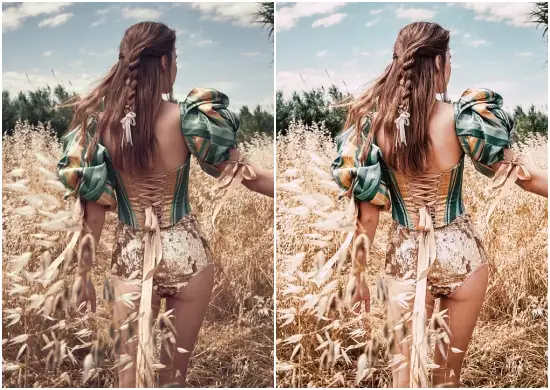 Farmhouse Mobile Preset Collection