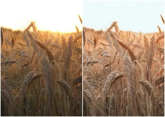 Farmhouse Lightroom Presets and LUTs