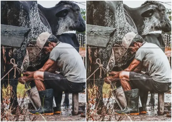 Presets Farmhouse Blogger Preset Collection