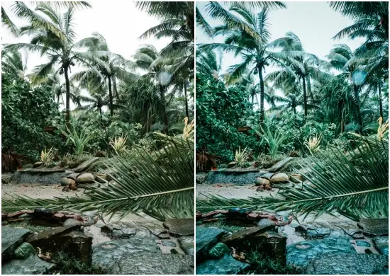 Fujifilm Lightroom Presets Ideas