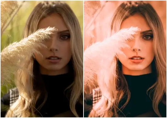 Download Film Look Pack Preset