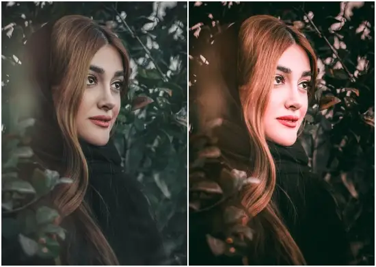 Download Lightroom Presets Look Pack