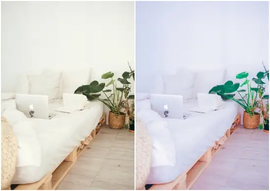 Free Download Fresh Day Lightroom Presets Dng