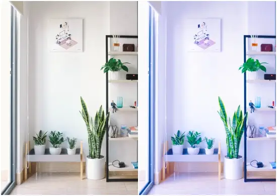 Fresh Day Lightroom Mobile Free Download