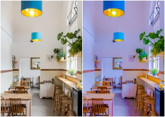 Free Lightroom Preset Spring Fresh