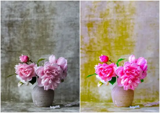 Download Free Fresh Flower Lightroom Presets