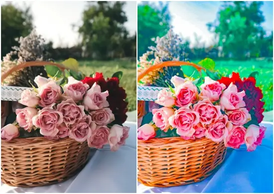 Pink Powder Lightroom Presets