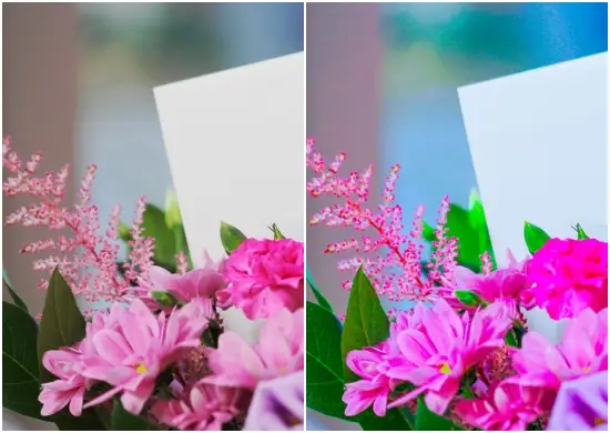 Fresh Flower Lightroom Presets