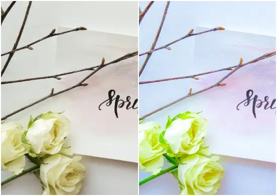 Spring Fresh Lightroom Preset