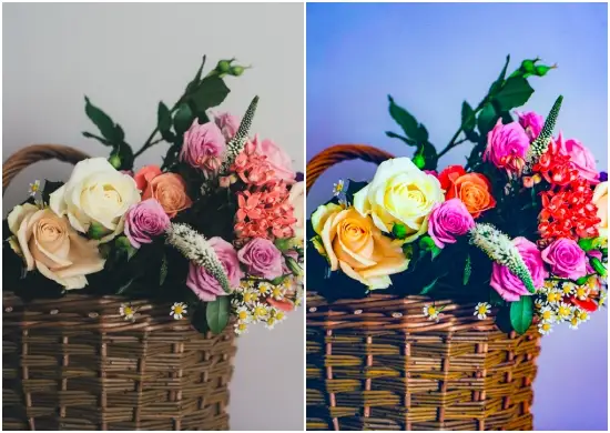 Charcoal Purple Mobile Preset