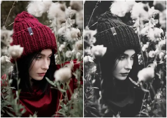 Silverlight B&w Lightroom Preset