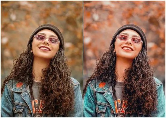 Golden Coffee Tone Preset