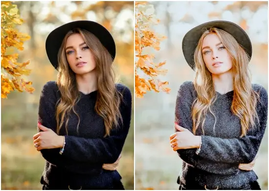 Gold Life Lightroom Mobile Preset Dng