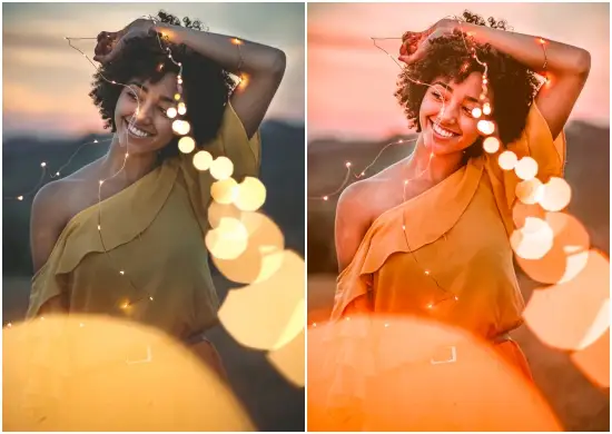 Download Free Gold Life Lightroom Preset Dng