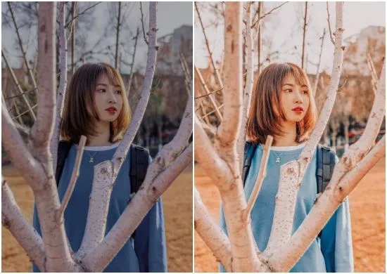 Golden Desaturated Presets