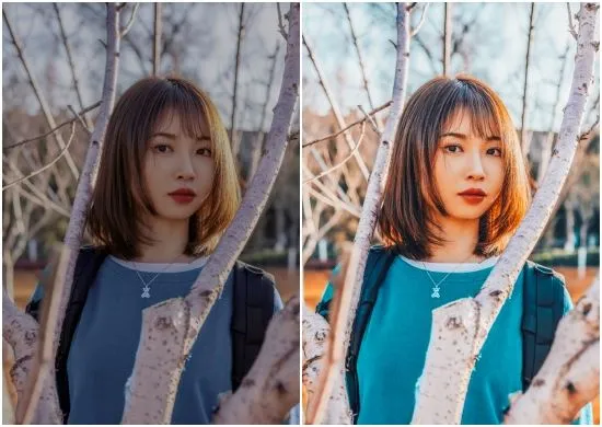 Golden Evenings Lightroom Preset