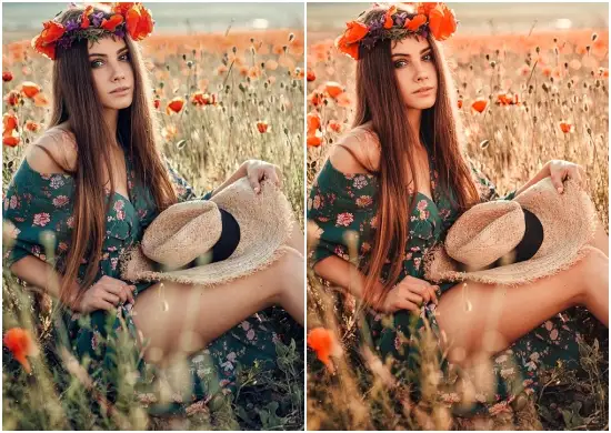 Free Moody Lightroom Preset