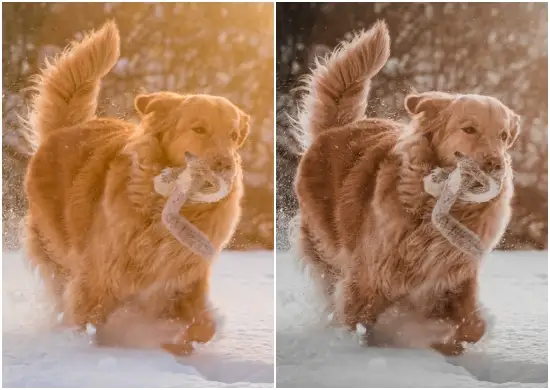 Golden Gate Bridge Lightroom Presets