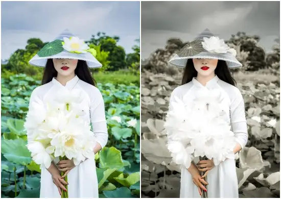 Graciela Ray Tone Preset Free Dng