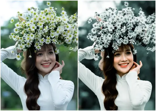 Free Portrait Dark Tone Lightroom Preset