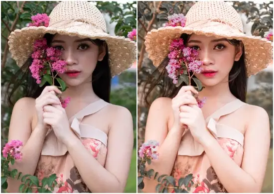 Free Dng VSCO Graciela Lightroom Preset