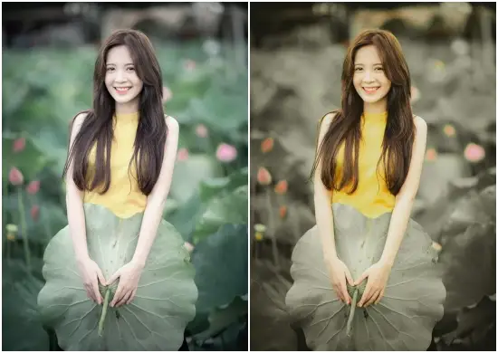 Download Vintage Graciela Lightroom Free Preset