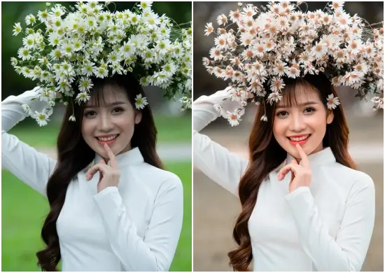 Free Graciela Blogger Lightroom Preset