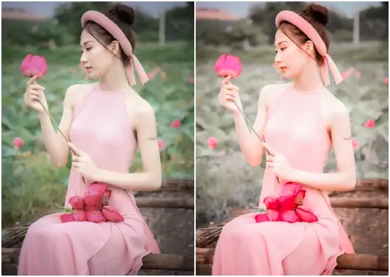 Insta Blogger Lightroom Dng Preset