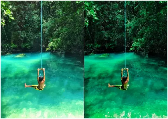 Free Download Dng Forest Moods Green Preset