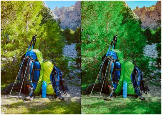 Forest Fantasy Jungle Preset