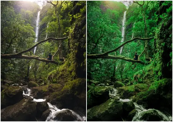 Free Nature Preset Download For Lightroom