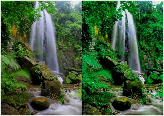 Free Lightroom Preset Deep Jungle