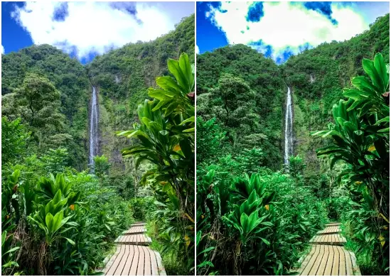 Jungle Green Mobile Presets