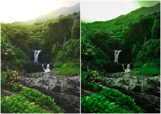 Mobile Lightroom Preset Tropical Preset Cold Green