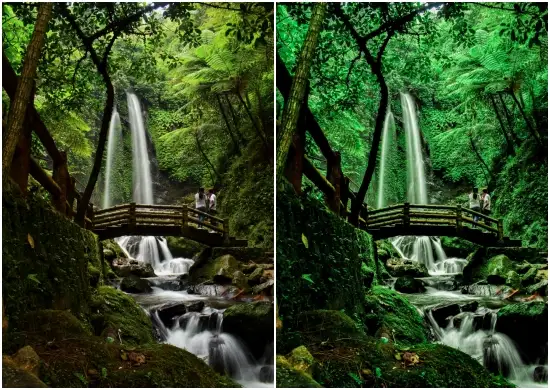 Jungle Green Mobile Presets For Lightroom