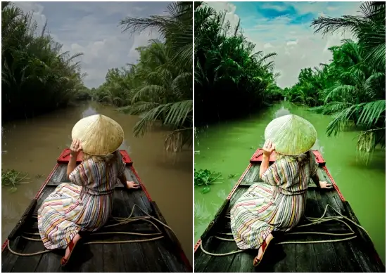 Free Tropical Green Lr Presets