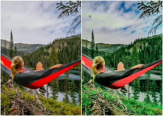 Nature Green Lightroom Mobile Preset Free