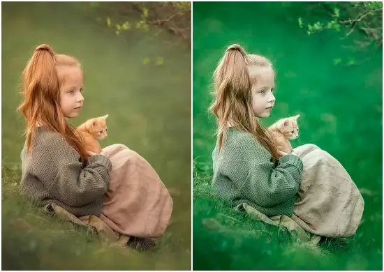 Green Effect Lightroom Preset Dng